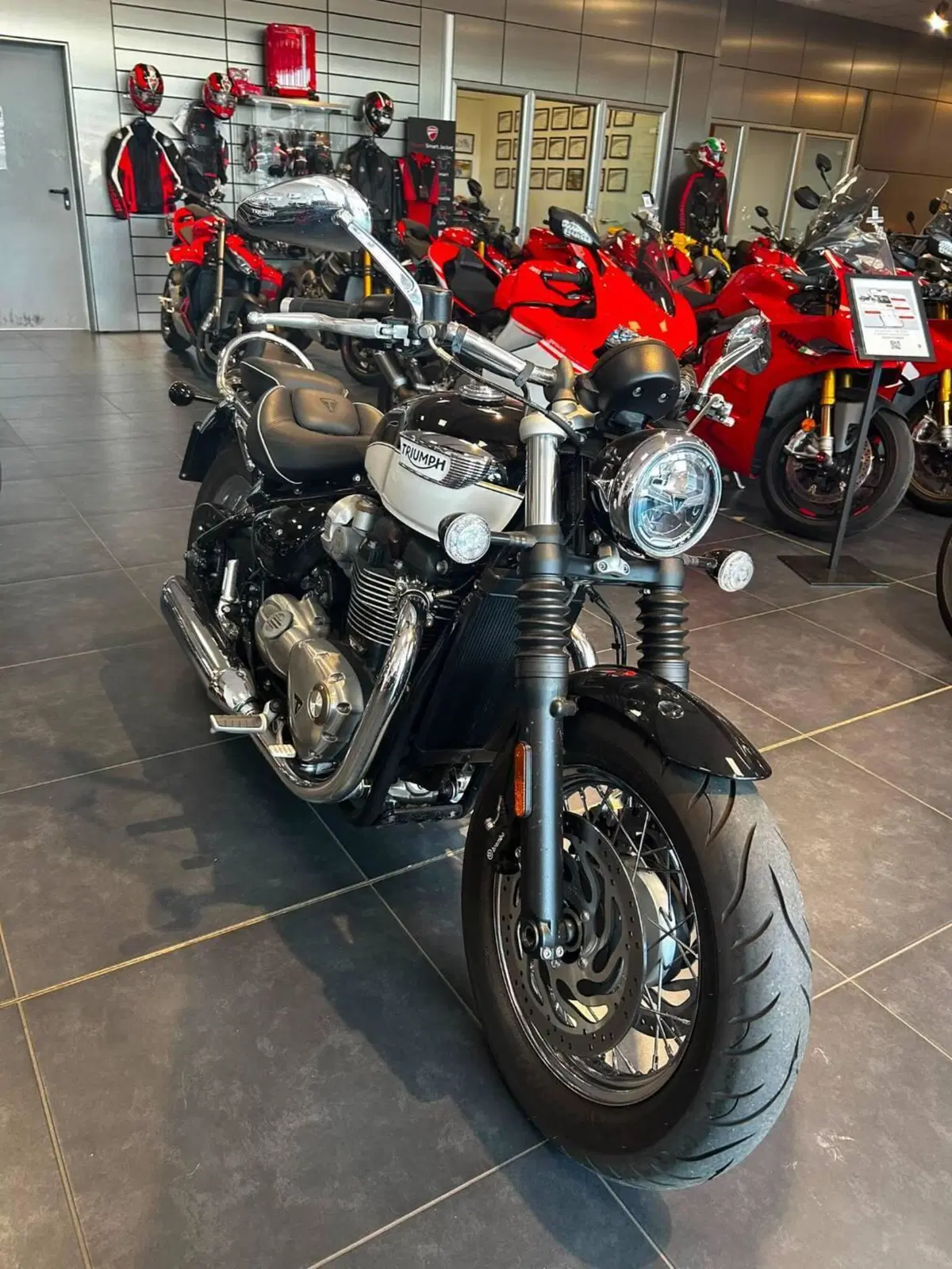 Triumph Bonneville Speedmaster 1200 Chrome Edition (2023) (12)
