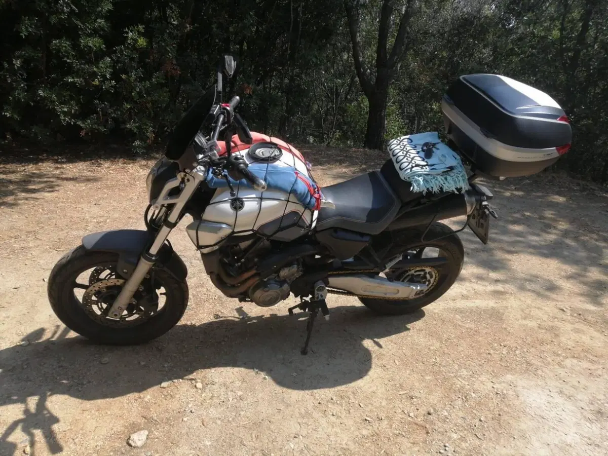 Yamaha MT-03 (2006 - 14) (8)