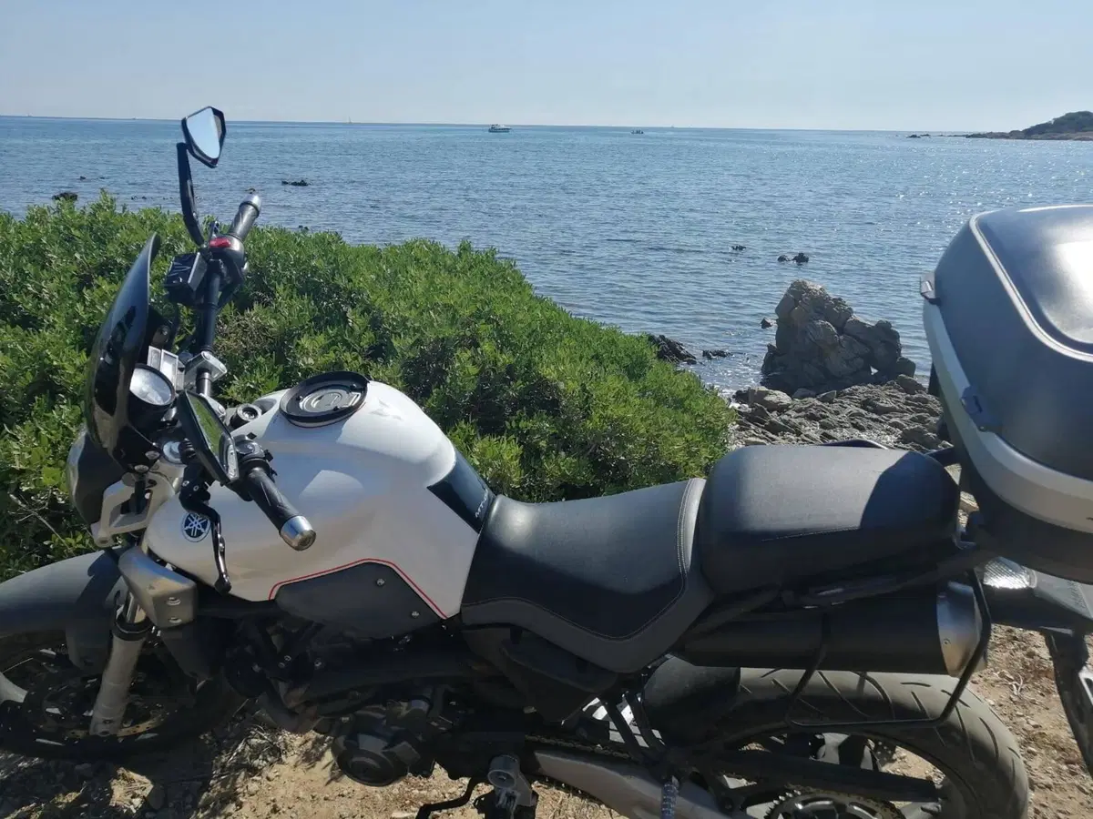 Yamaha MT-03 (2006 - 14) (9)