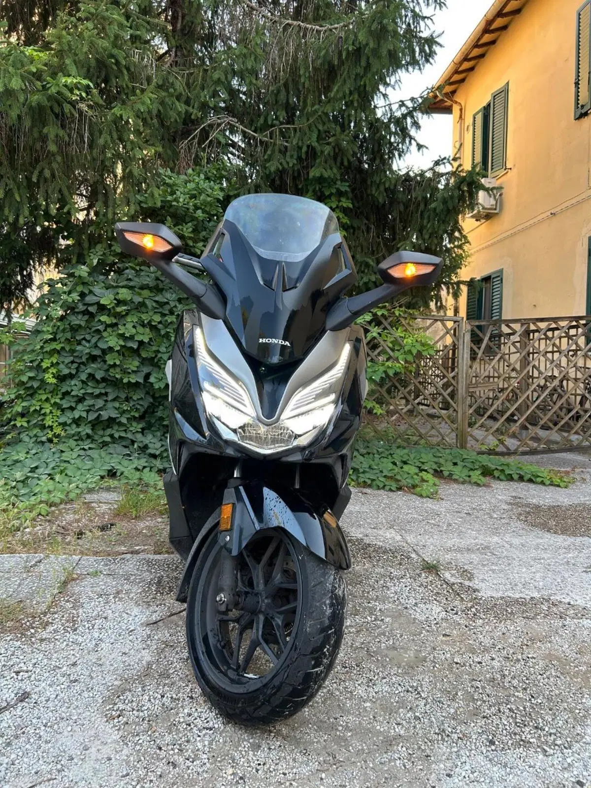 Honda Forza 350 (2022 - 24) (2)