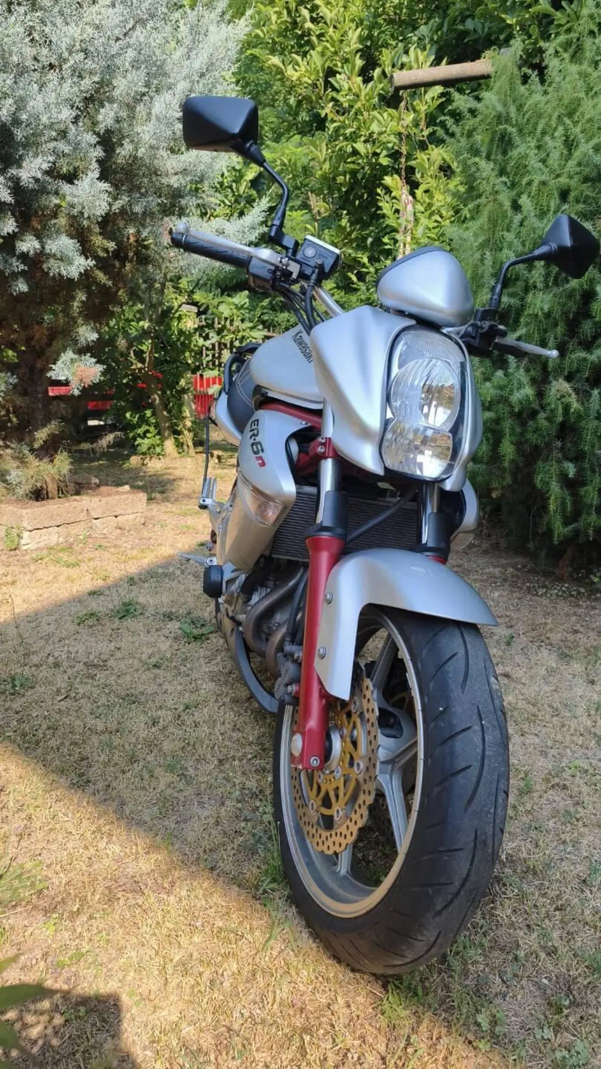 Kawasaki ER-6N (2006 - 09)