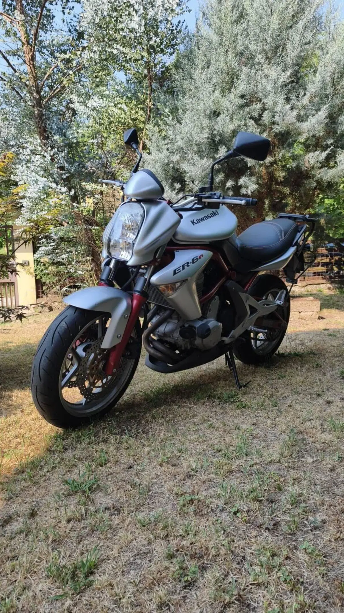 Kawasaki ER-6N (2006 - 09) (2)