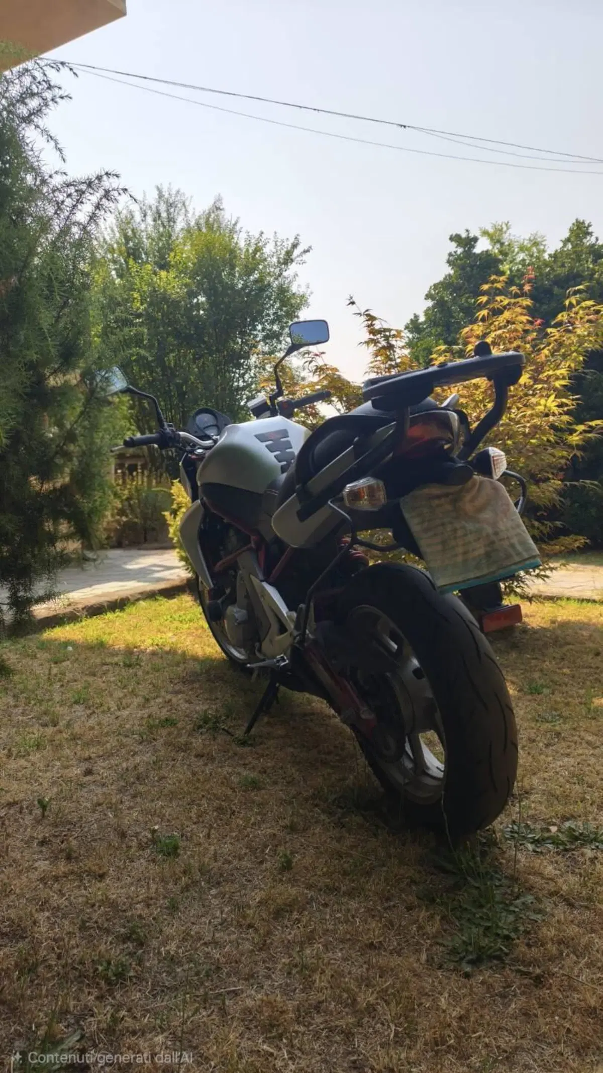 Kawasaki ER-6N (2006 - 09) (3)