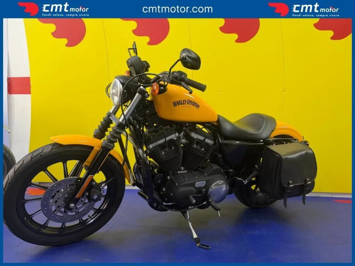 Harley-Davidson 883 Iron (2009 - 11) - XL 883N (3)