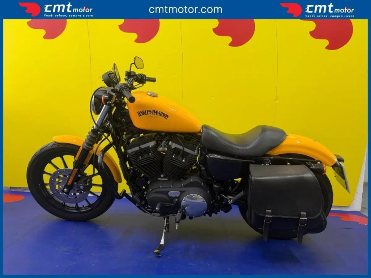 Harley-Davidson 883 Iron (2009 - 11) - XL 883N (4)