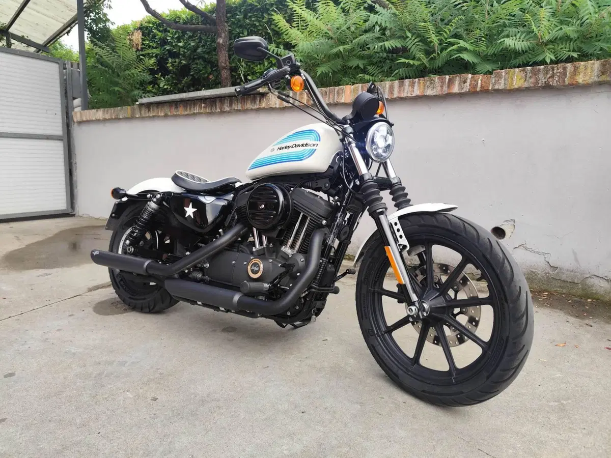 Harley-Davidson 1200 Iron (2018 - 20) - XL1200N (3)