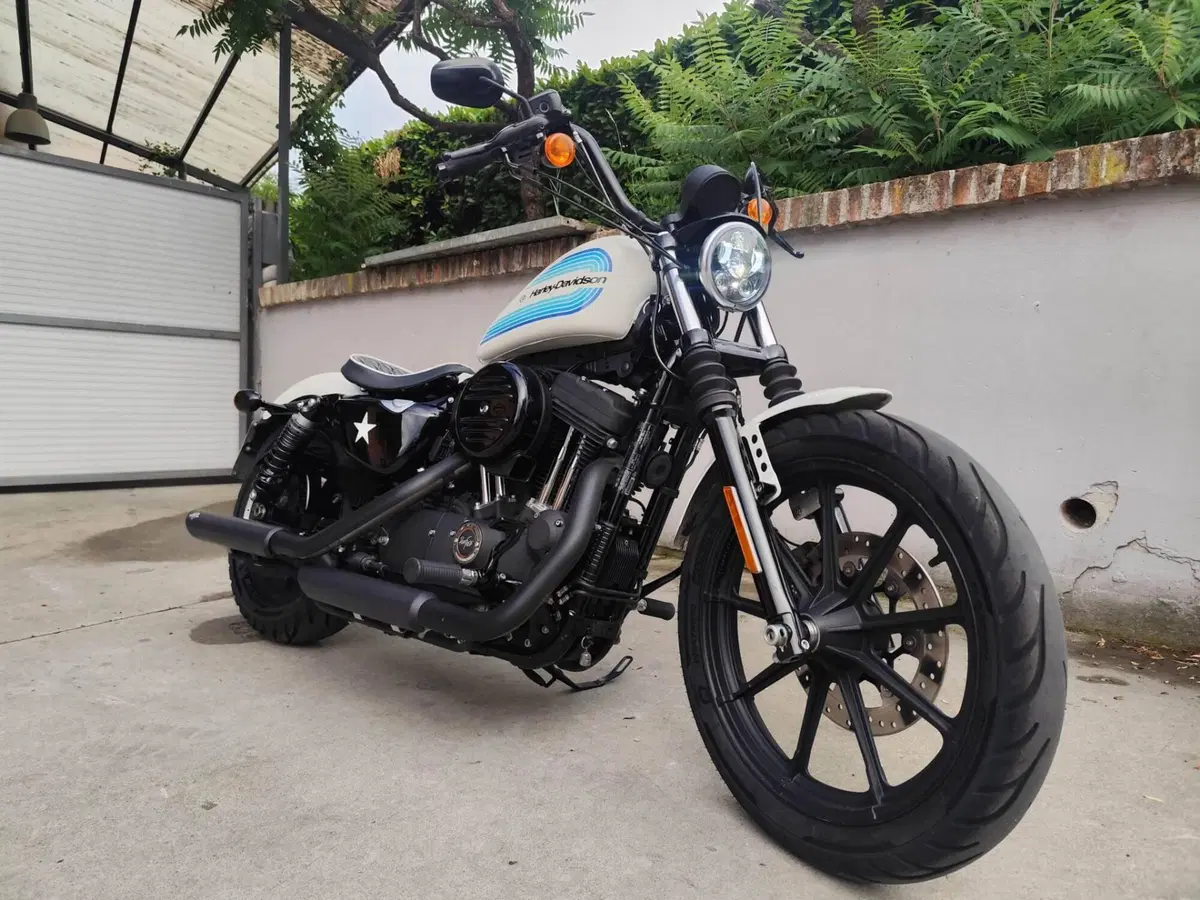 Harley-Davidson 1200 Iron (2018 - 20) - XL1200N (4)