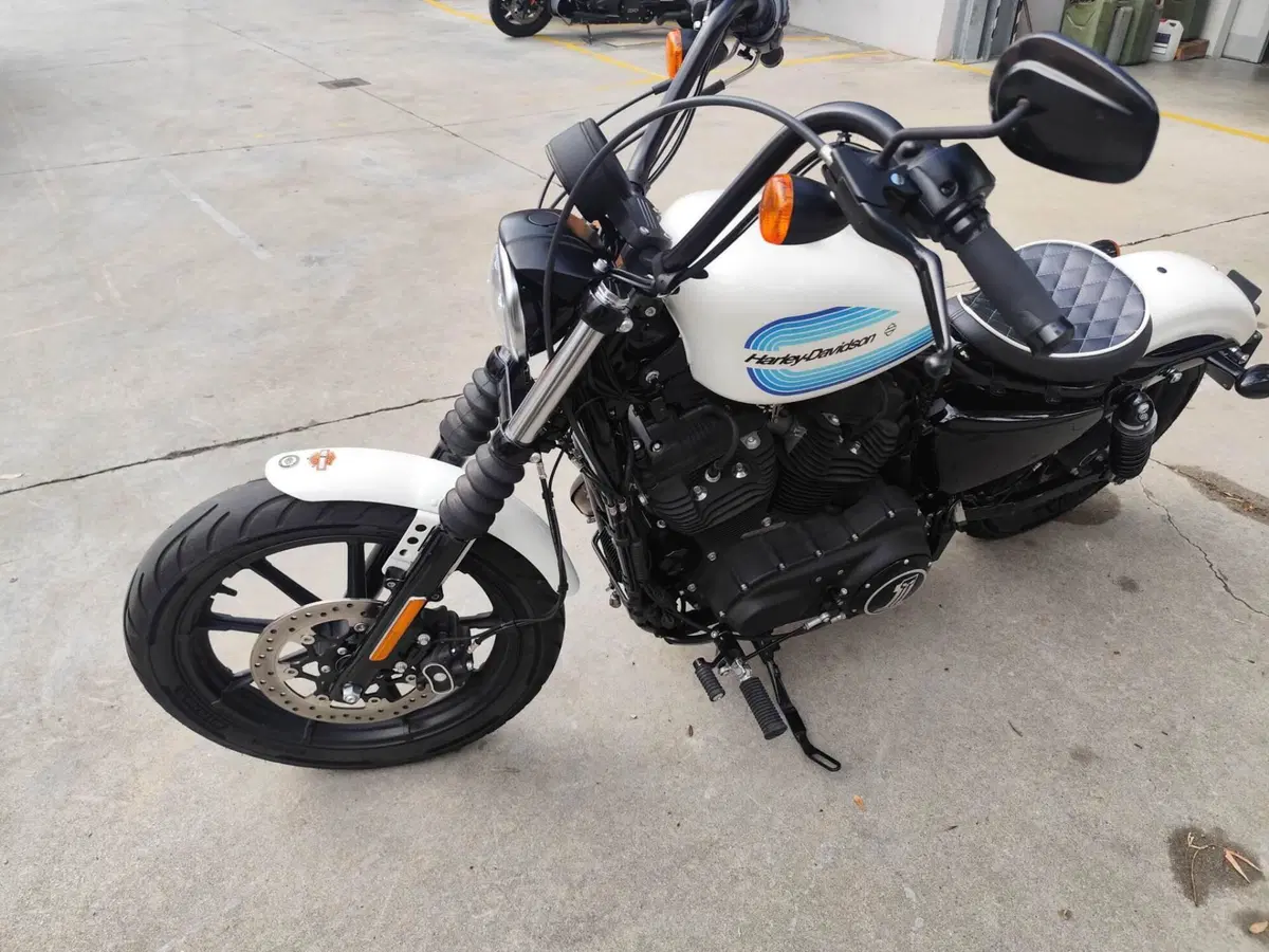 Harley-Davidson 1200 Iron (2018 - 20) - XL1200N (8)