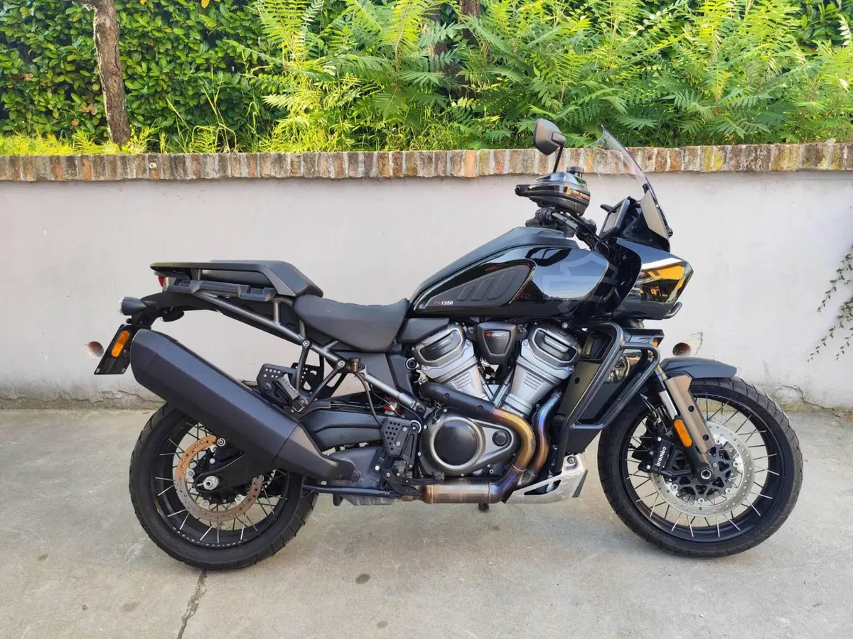 Harley-Davidson Pan America 1250 Special (2020 - 25)