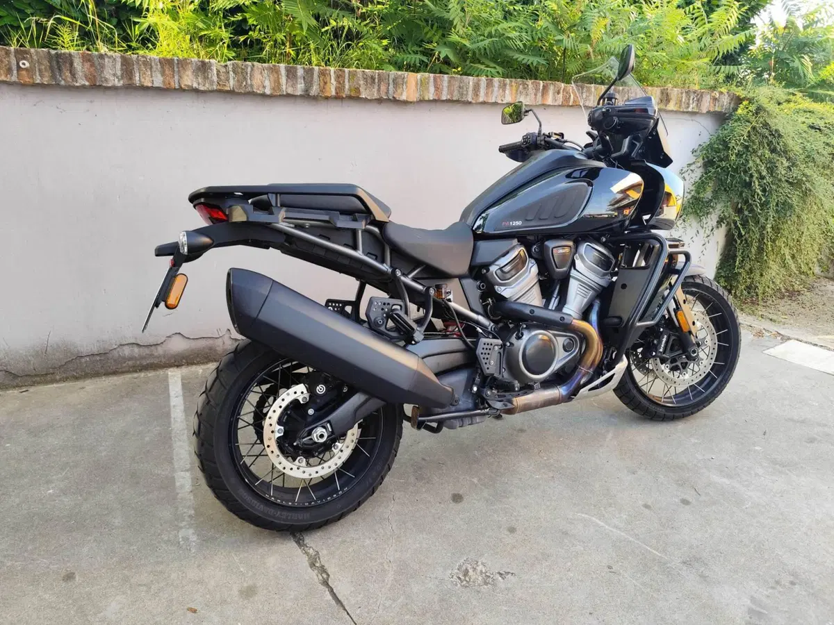 Harley-Davidson Pan America 1250 Special (2020 - 25) (4)