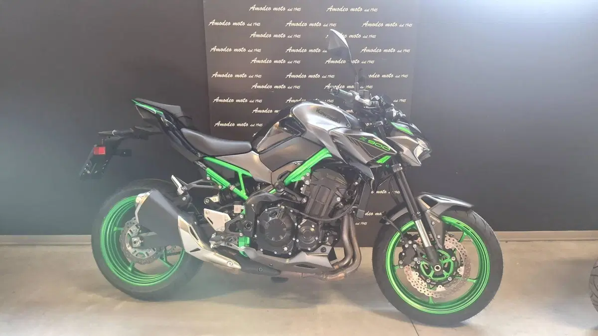 Kawasaki Z 900 (2021 - 24)