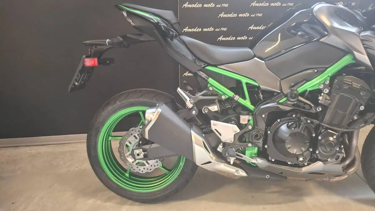 Kawasaki Z 900 (2021 - 24) (5)