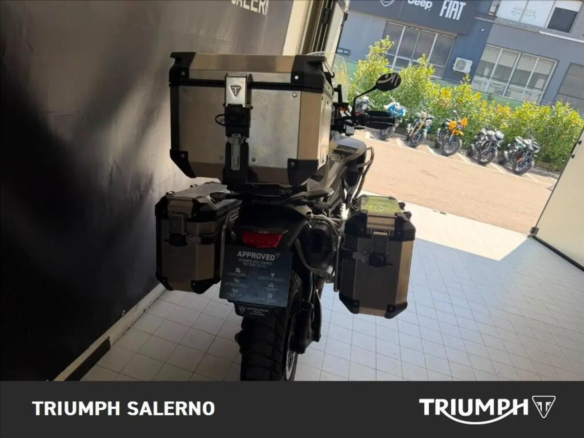 Triumph Tiger 1200 Rally Pro (2024 - 26) (5)