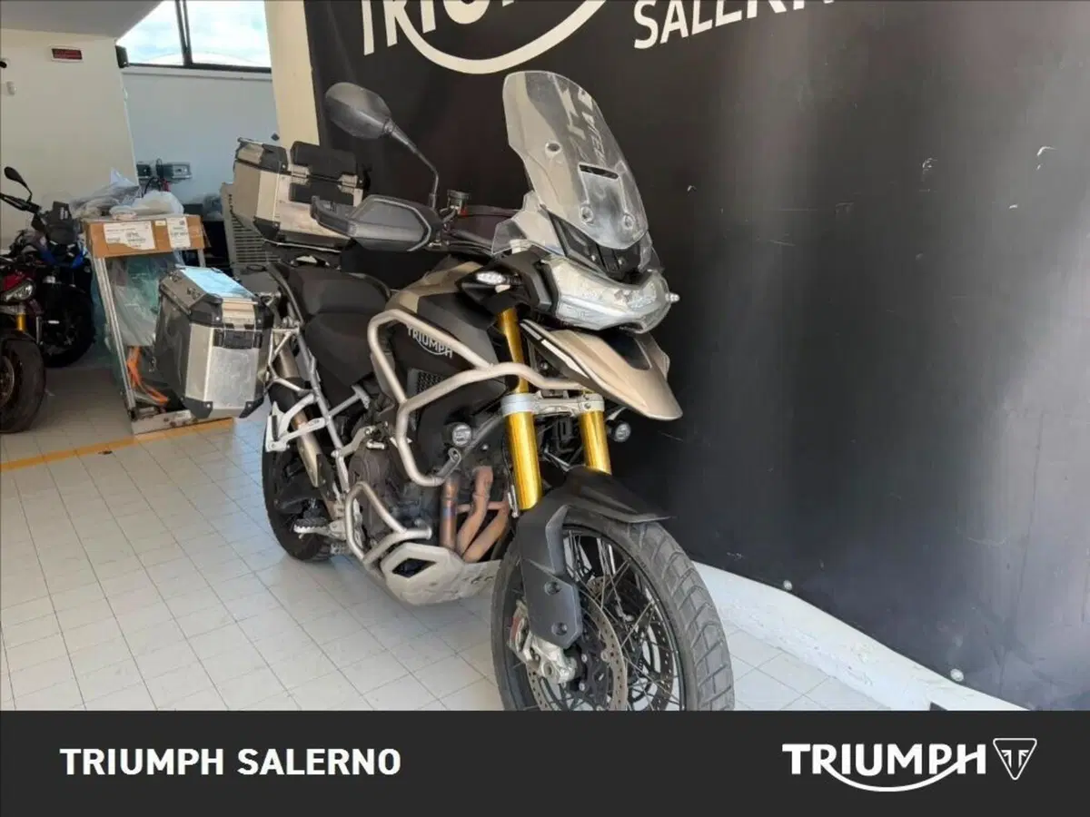 Triumph Tiger 1200 Rally Pro (2024 - 26) (4)