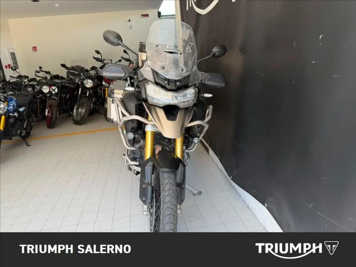 Triumph Tiger 1200 Rally Pro (2024 - 26) (3)