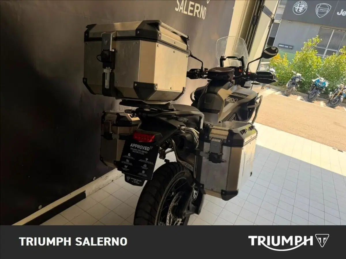 Triumph Tiger 1200 Rally Pro (2024 - 26) (6)
