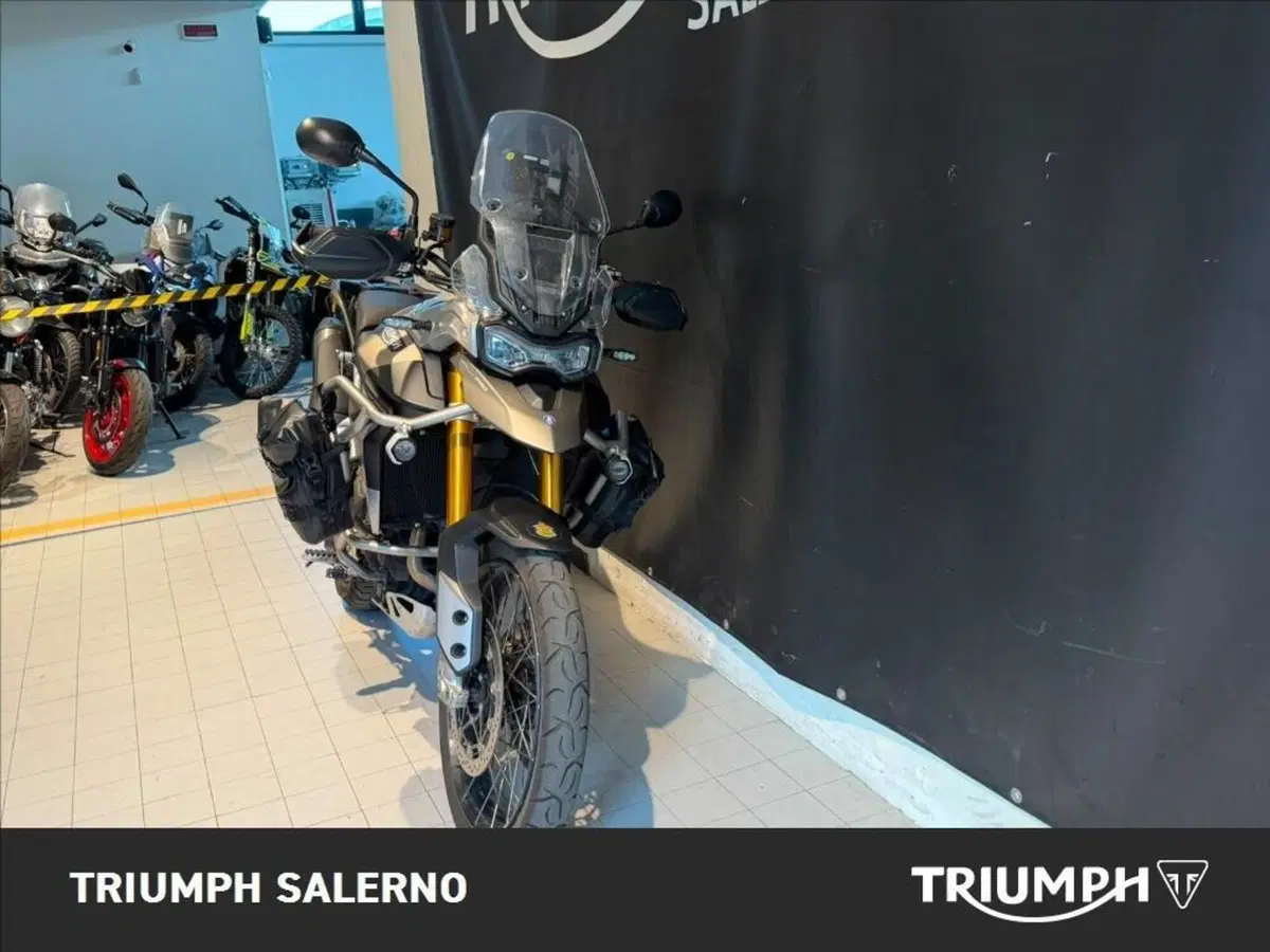 Triumph Tiger 900 Rally Pro (2020 - 23) (5)