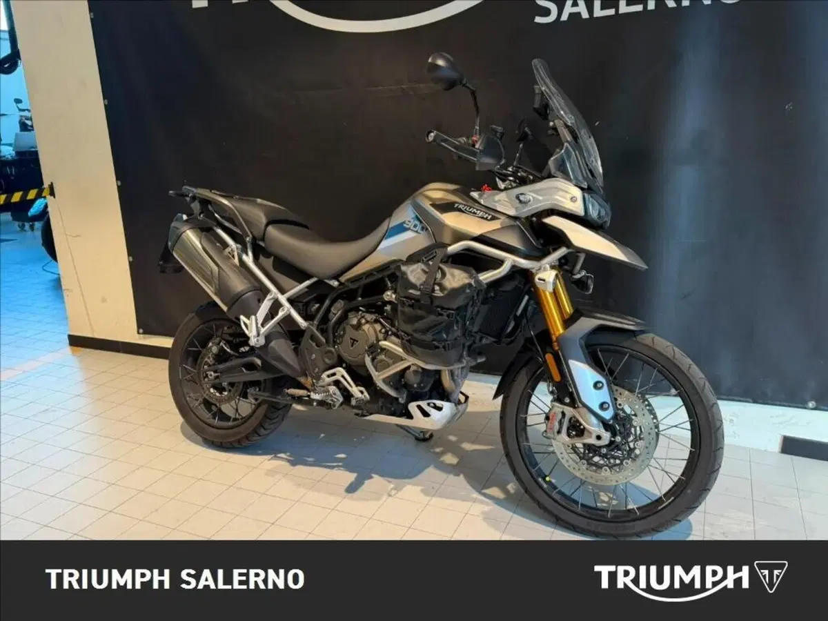Triumph Tiger 900 Rally Pro (2020 - 23) (3)
