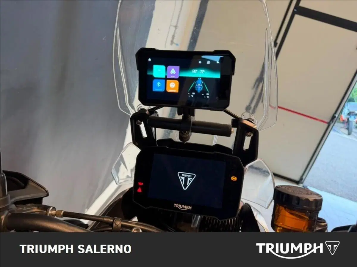Triumph Tiger 900 Rally Pro (2020 - 23) (8)