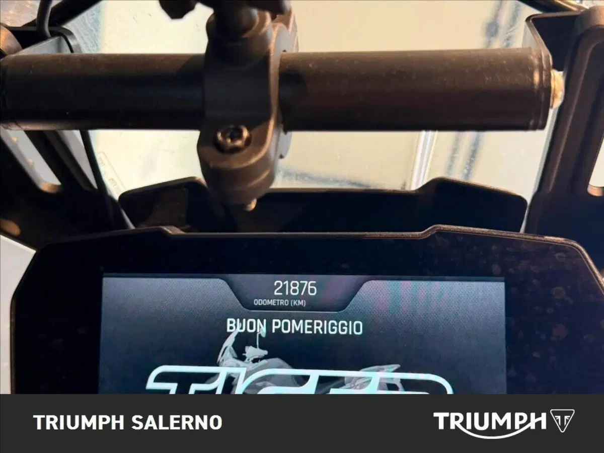 Triumph Tiger 900 Rally Pro (2020 - 23) (9)