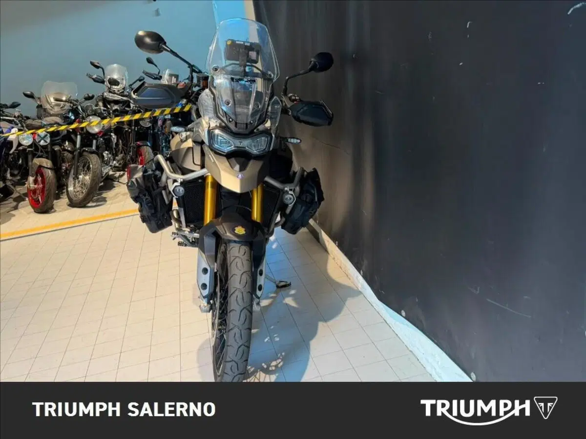 Triumph Tiger 900 Rally Pro (2020 - 23) (4)