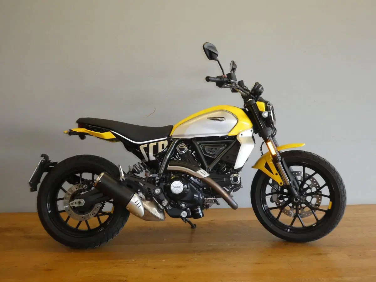 Ducati Scrambler 800 Icon (2023 - 24) (4)
