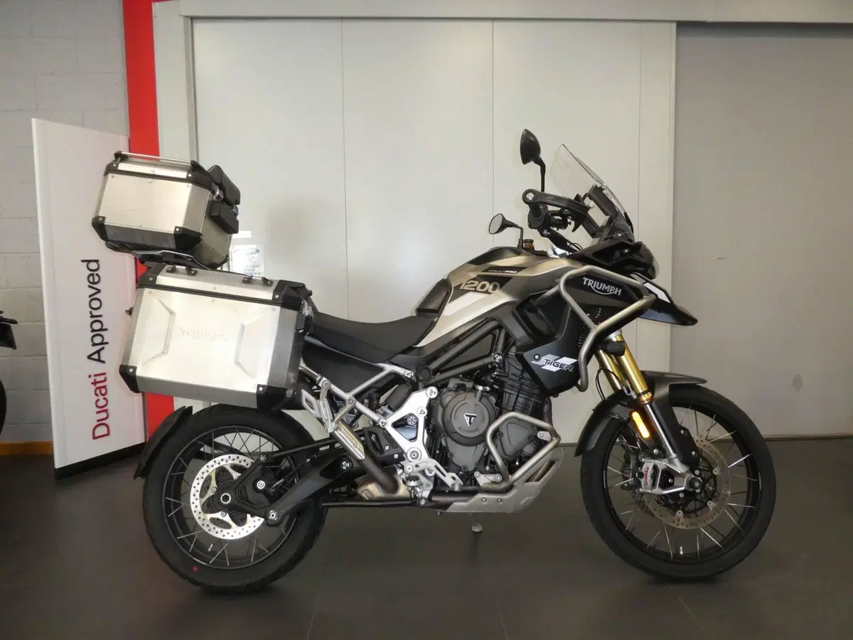 Triumph Tiger 1200 Rally Pro (2024 - 26)