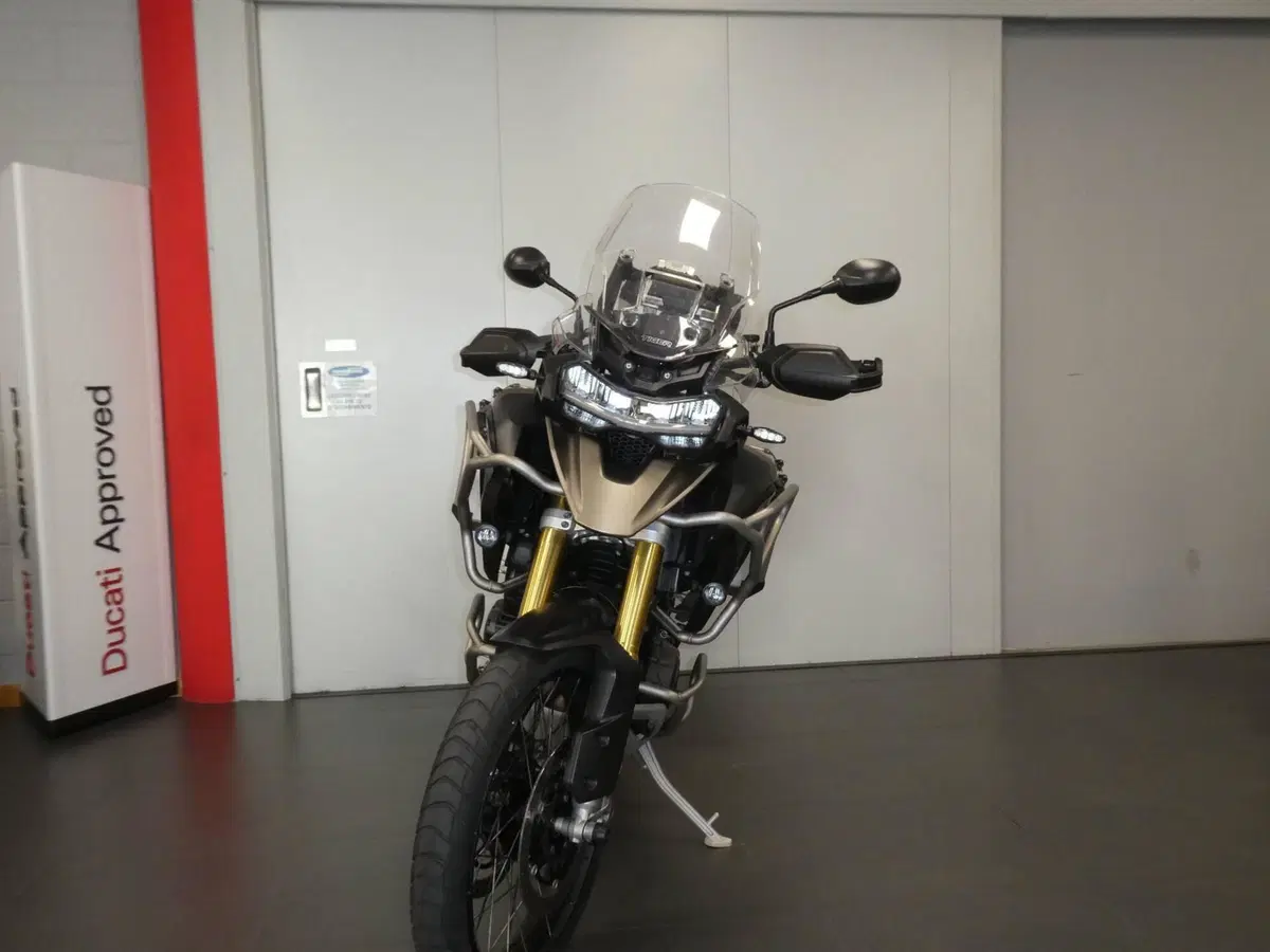 Triumph Tiger 1200 Rally Pro (2024 - 26) (2)