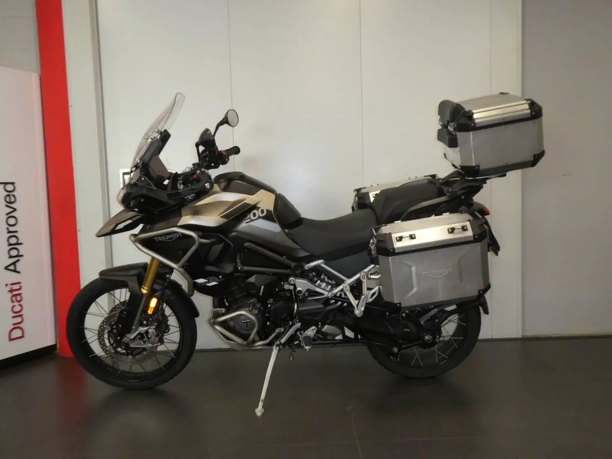 Triumph Tiger 1200 Rally Pro (2024 - 26) (3)