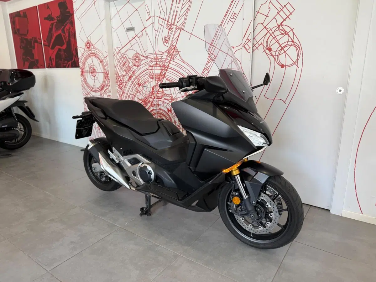 Honda Forza 750 DCT (2021 - 24) (2)