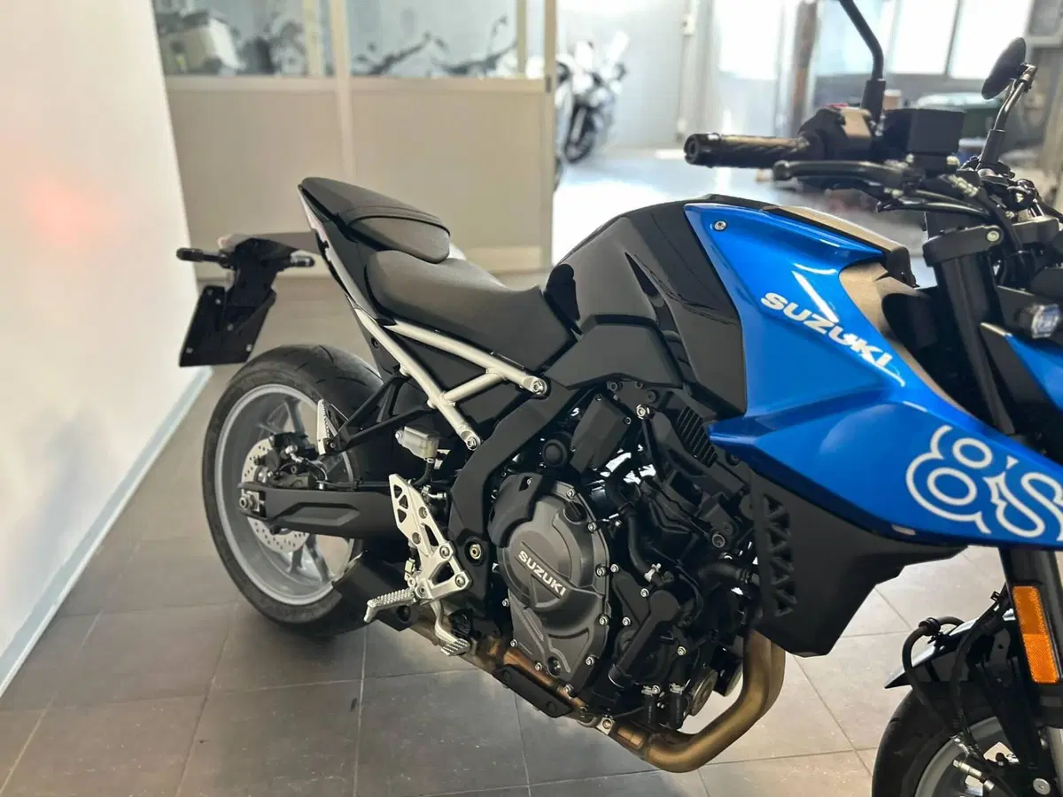 Suzuki GSX-8S (2025 - 26) (7)