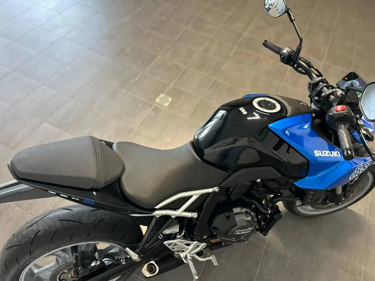 Suzuki GSX-8S (2025 - 26) (8)