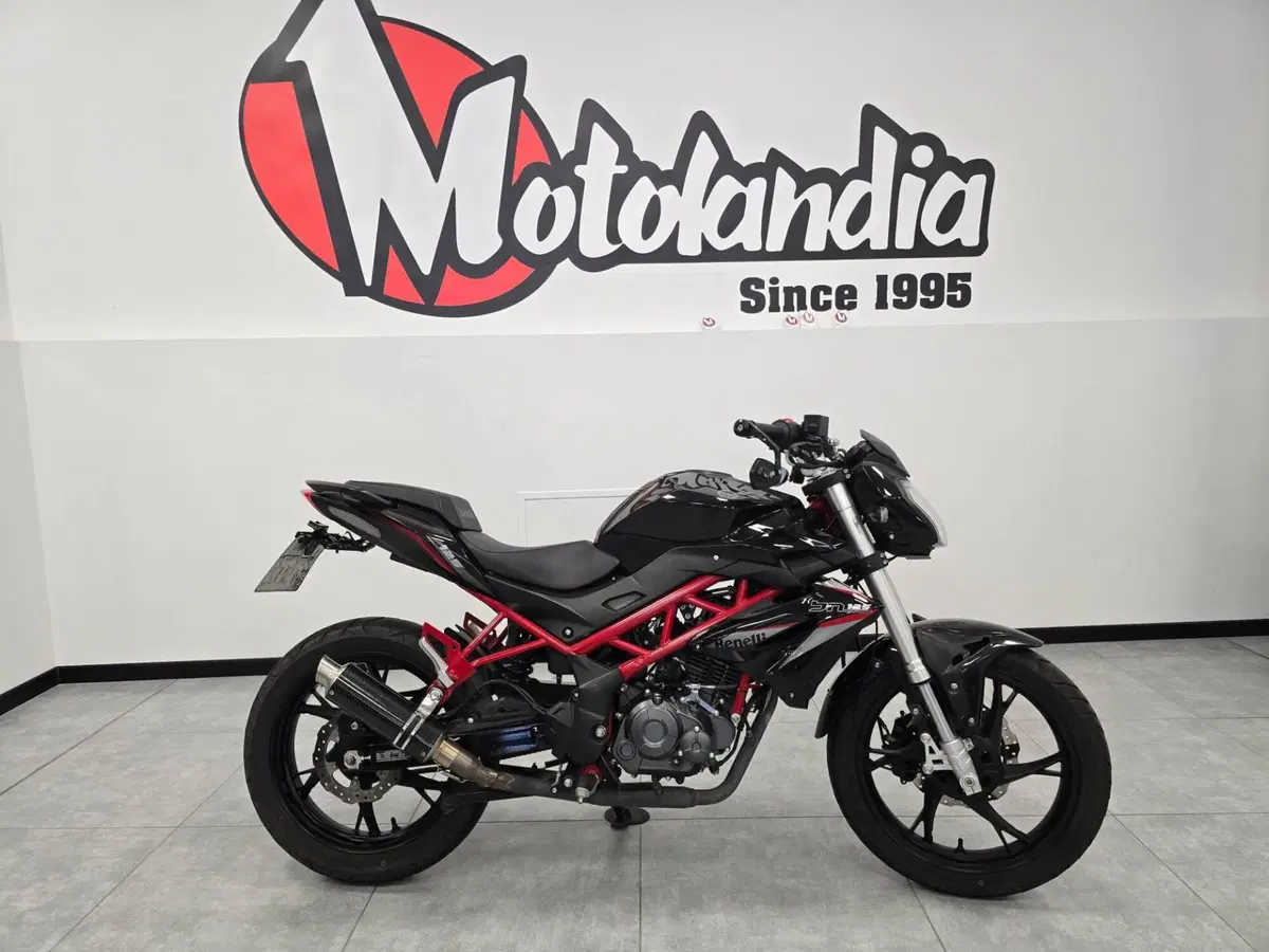 Benelli BN 125 (2018 - 20) (4)