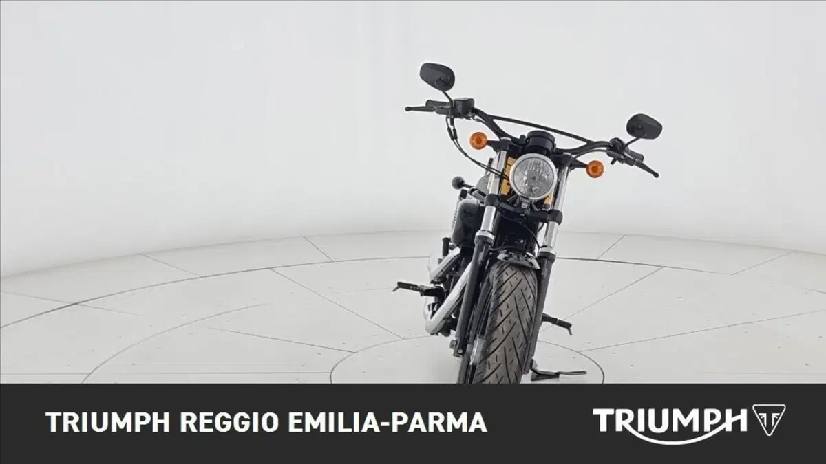 Harley-Davidson 1200 Forty-Eight (2010 - 15) (3)