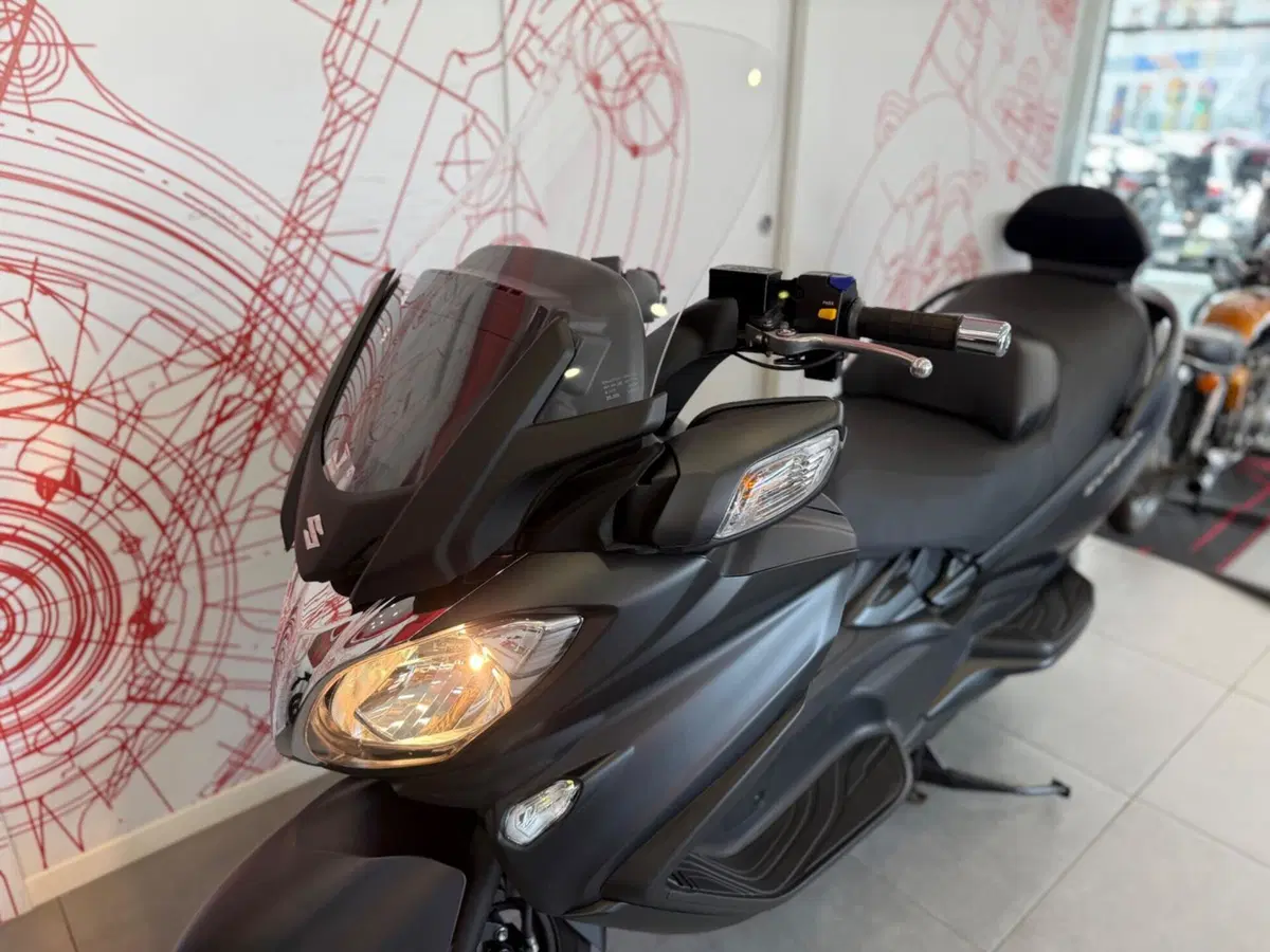 Suzuki Burgman AN 650 Executive ABS (2013 - 17) (13)