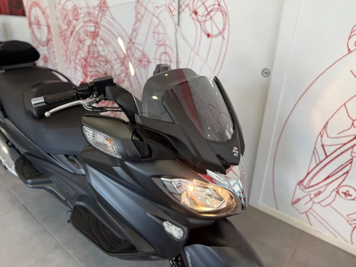 Suzuki Burgman AN 650 Executive ABS (2013 - 17) (10)