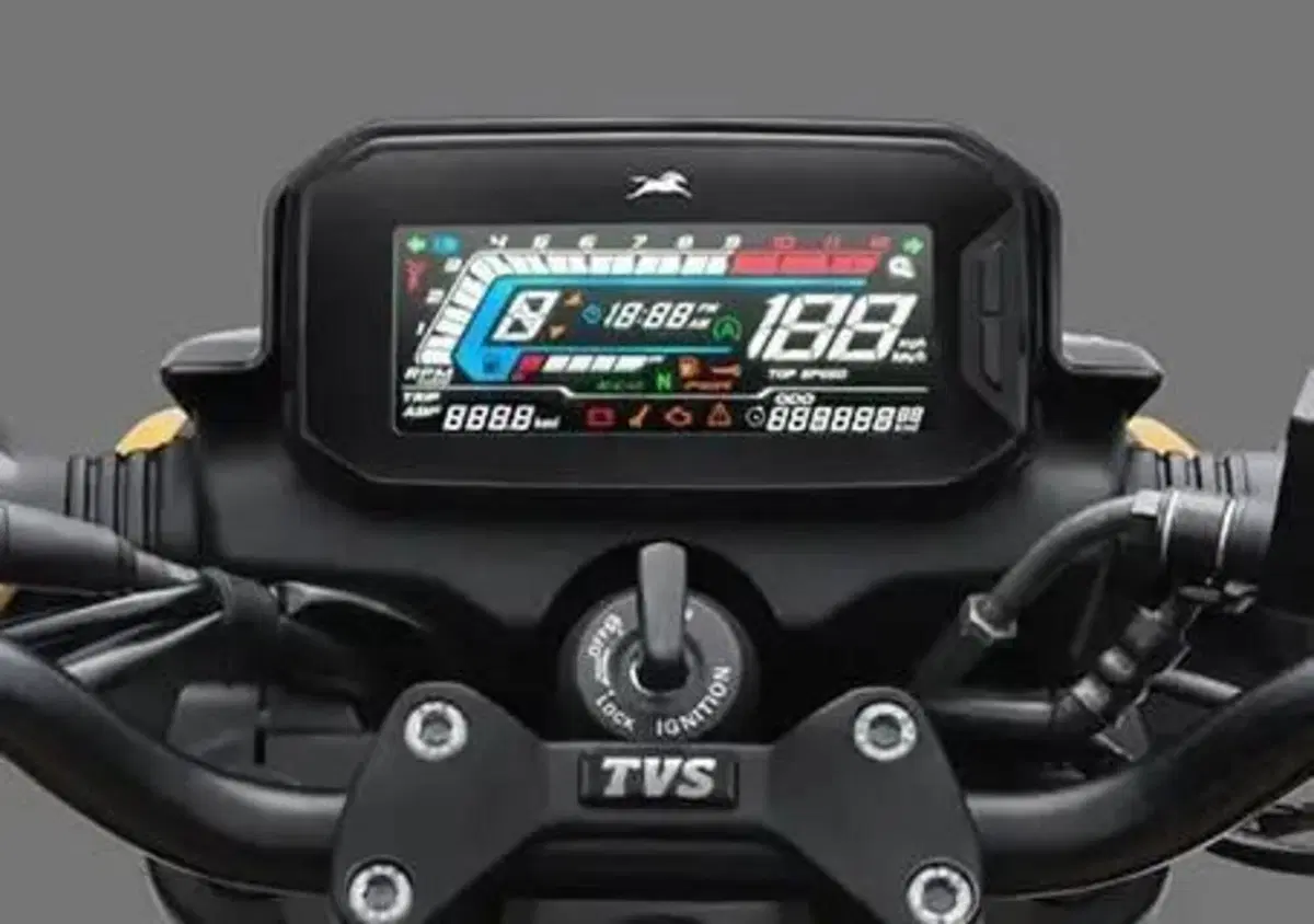 TVS Motor Raider 125 (2024 - 26) (3)