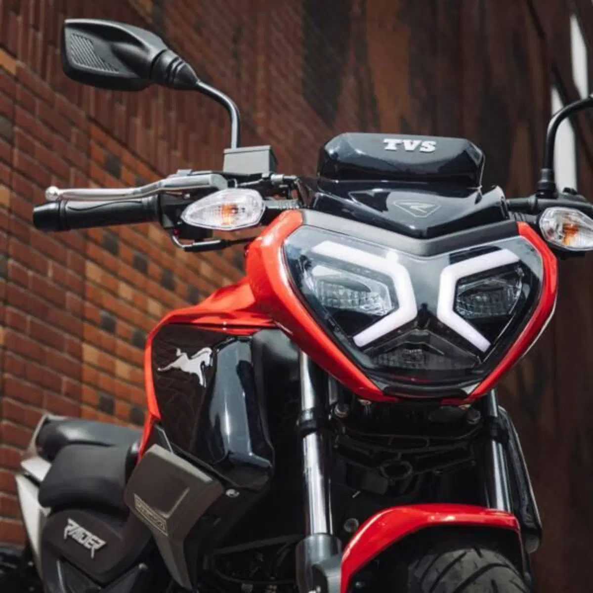 TVS Motor Raider 125 (2024 - 26) (5)