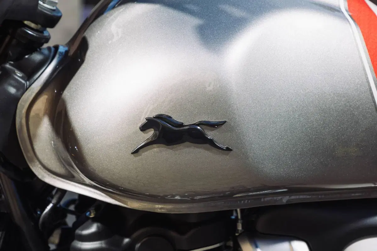 TVS Motor Ronin 250 (2024 - 26) (4)