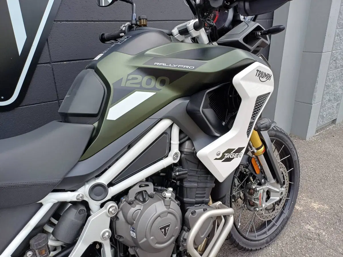 Triumph Tiger 1200 Rally Pro (2024 - 26) (5)