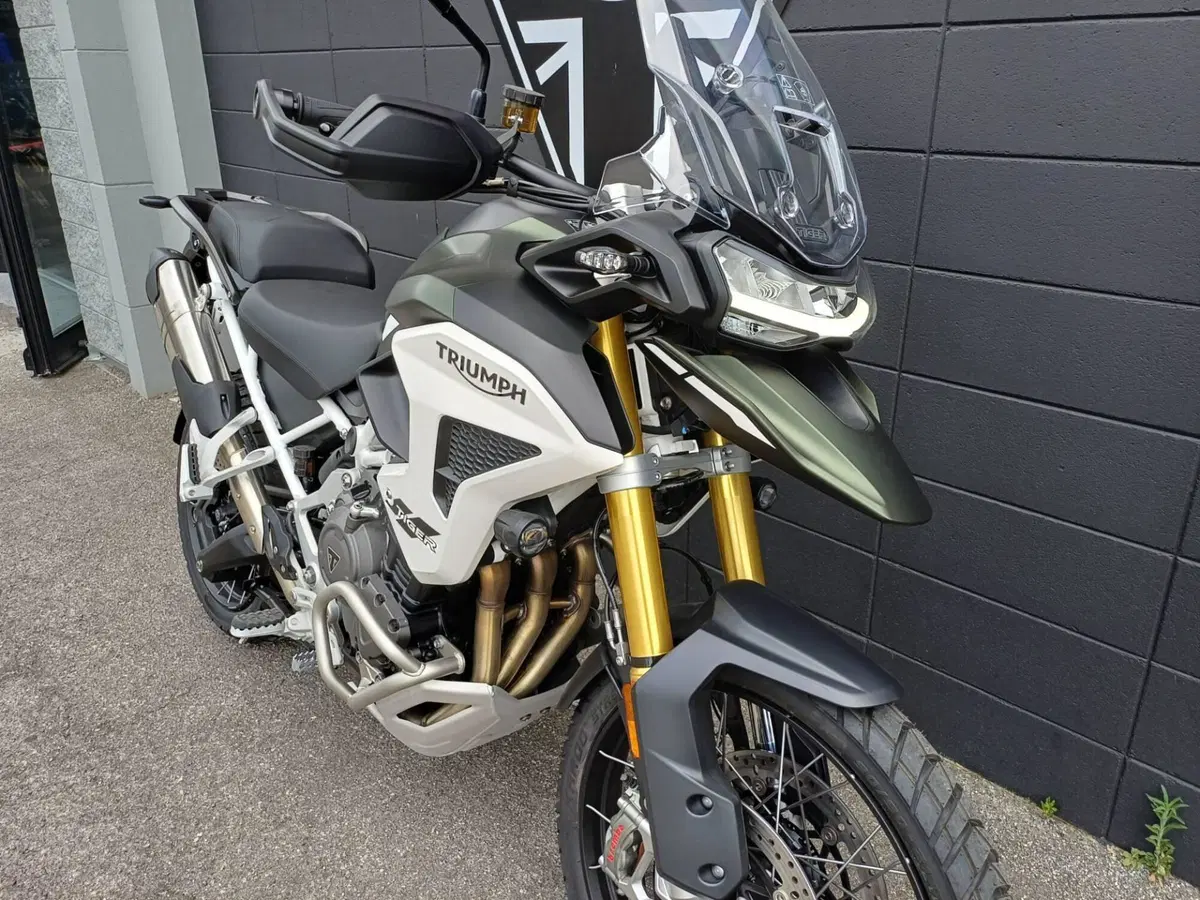 Triumph Tiger 1200 Rally Pro (2024 - 26) (6)