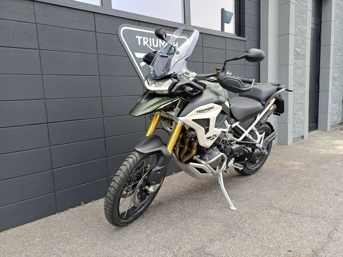 Triumph Tiger 1200 Rally Pro (2024 - 26) (12)