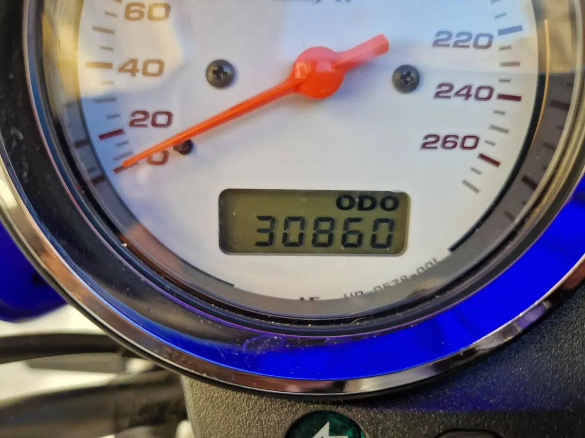 Honda Hornet 600 (2003 - 04) (4)