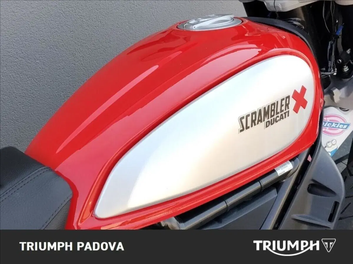 Ducati Scrambler 800 Desert Sled (2017 - 20) (4)