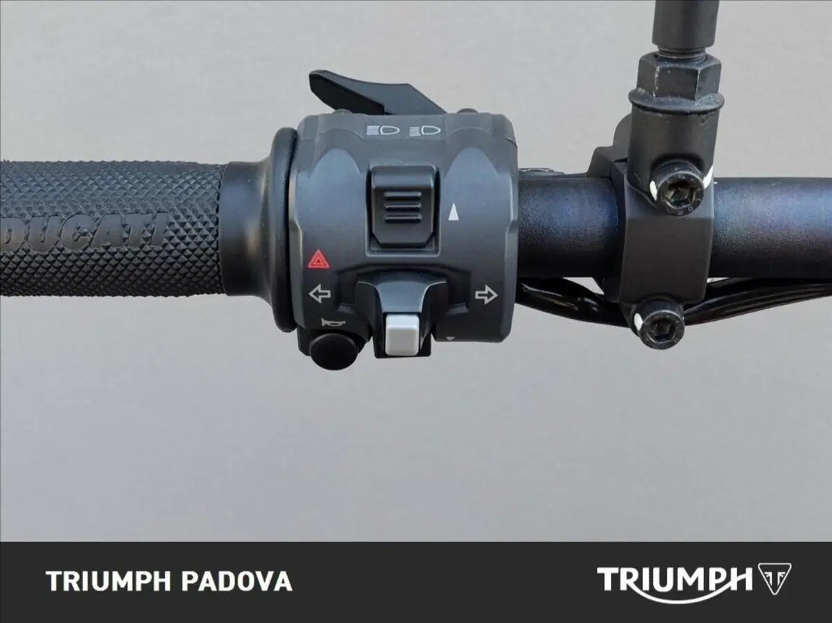 Ducati Scrambler 800 Desert Sled (2017 - 20) (12)