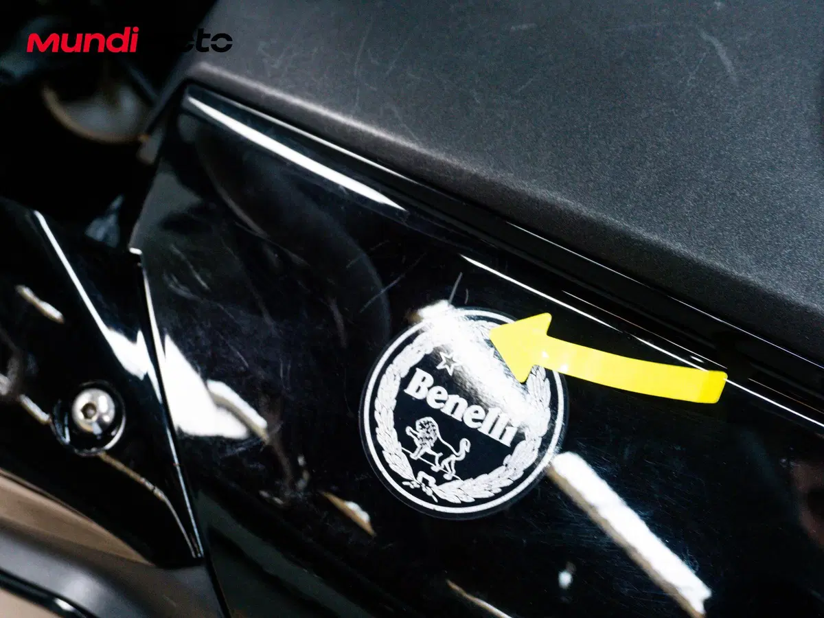 Benelli TRK 251 (2019 - 20) (15)