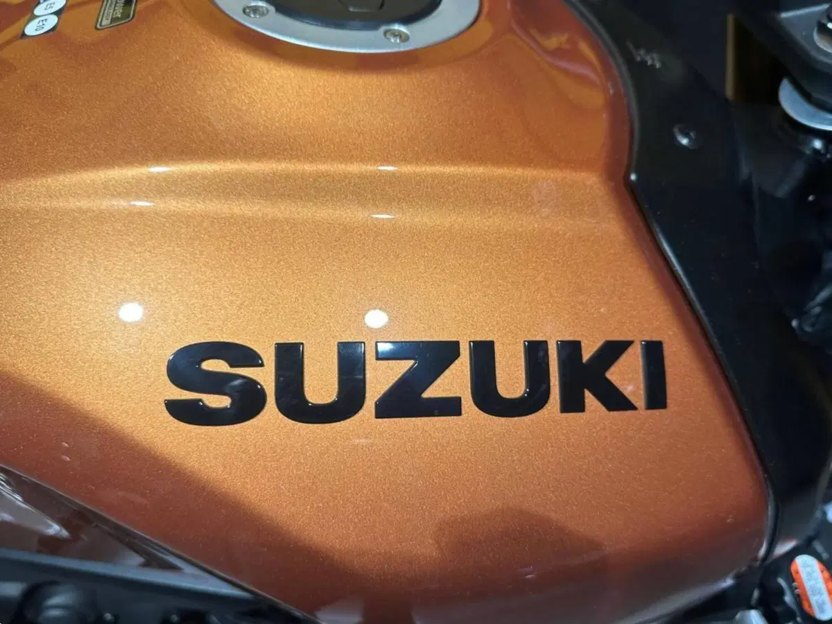 Suzuki GSX-8T (2025 - 26) (5)