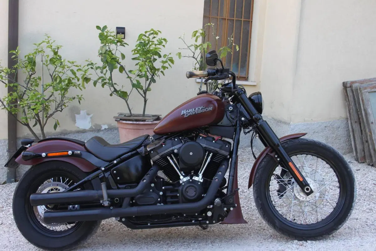 Harley-Davidson 107 Street Bob (2018 - 20) - FXBB (2)