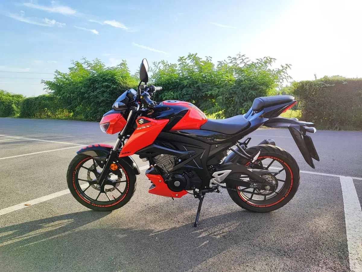 Suzuki GSX-S125 (2017 - 20) (3)