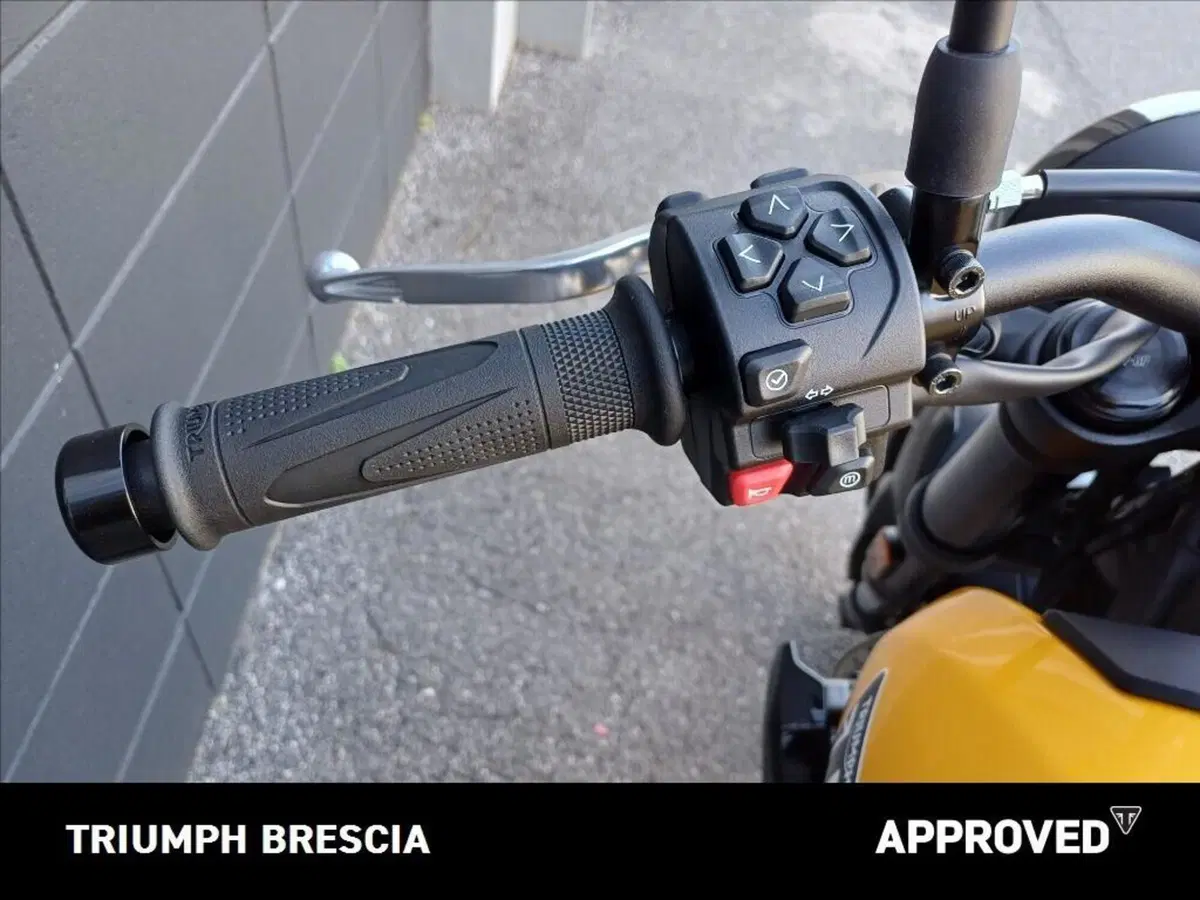 Triumph Trident 660 (2026) (9)